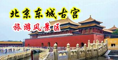 调教啊啊啊不要啊贱狗中国北京-东城古宫旅游风景区